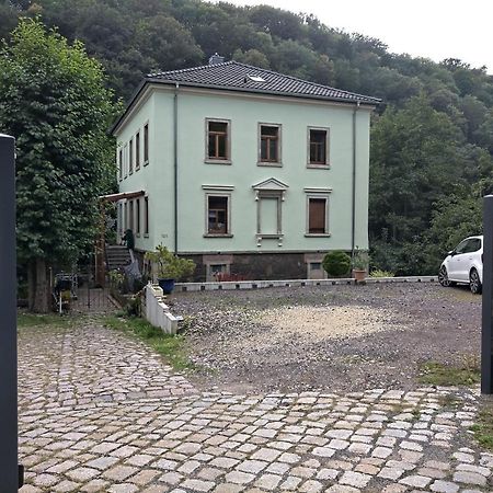 Idyllische Ferienwohnung In Zentrumsnaehe Дрезден Экстерьер фото