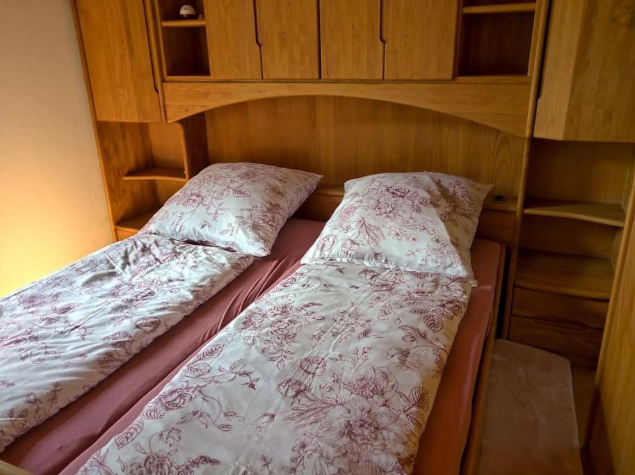 Idyllische Ferienwohnung In Zentrumsnaehe Дрезден Экстерьер фото