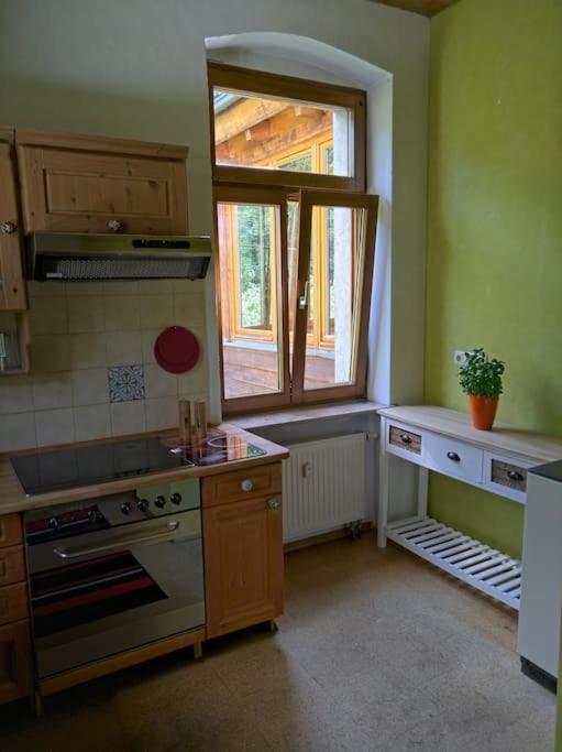 Idyllische Ferienwohnung In Zentrumsnaehe Дрезден Экстерьер фото