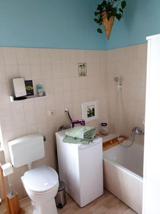 Idyllische Ferienwohnung In Zentrumsnaehe Дрезден Экстерьер фото